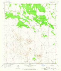 Bisbee Hills New Mexico Historical topographic map, 1:24000 scale, 7.5 X 7.5 Minute, Year 1965