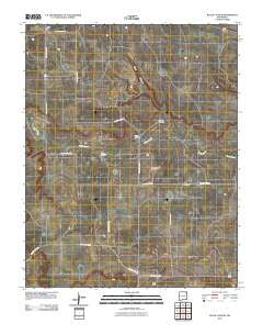 Black Canyon New Mexico Historical topographic map, 1:24000 scale, 7.5 X 7.5 Minute, Year 2010