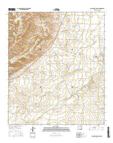 Black River Village New Mexico Current topographic map, 1:24000 scale, 7.5 X 7.5 Minute, Year 2017