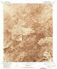 Blakemore Well New Mexico Historical topographic map, 1:24000 scale, 7.5 X 7.5 Minute, Year 1981