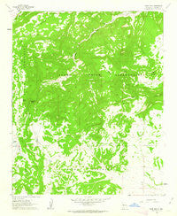 Blue Mesa New Mexico Historical topographic map, 1:24000 scale, 7.5 X 7.5 Minute, Year 1961