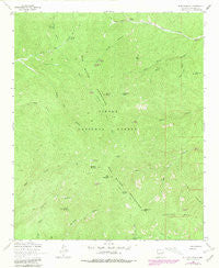 Blue Mountain New Mexico Historical topographic map, 1:24000 scale, 7.5 X 7.5 Minute, Year 1964
