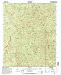 Blue Mountain New Mexico Historical topographic map, 1:24000 scale, 7.5 X 7.5 Minute, Year 1995