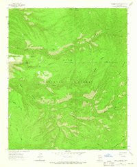 Bonner Canyon New Mexico Historical topographic map, 1:24000 scale, 7.5 X 7.5 Minute, Year 1963