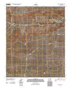 Borica SW New Mexico Historical topographic map, 1:24000 scale, 7.5 X 7.5 Minute, Year 2010