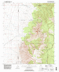 Bosque Peak New Mexico Historical topographic map, 1:24000 scale, 7.5 X 7.5 Minute, Year 1991
