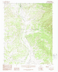 Brazos New Mexico Historical topographic map, 1:24000 scale, 7.5 X 7.5 Minute, Year 1983