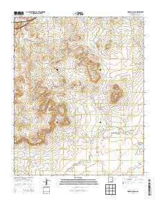 Briscoe Ranch New Mexico Historical topographic map, 1:24000 scale, 7.5 X 7.5 Minute, Year 2013
