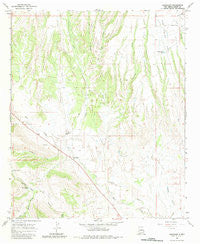 Buckhorn New Mexico Historical topographic map, 1:24000 scale, 7.5 X 7.5 Minute, Year 1965