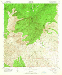 Burro Peak New Mexico Historical topographic map, 1:24000 scale, 7.5 X 7.5 Minute, Year 1950