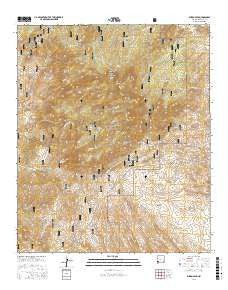 Burro Peak New Mexico Current topographic map, 1:24000 scale, 7.5 X 7.5 Minute, Year 2017
