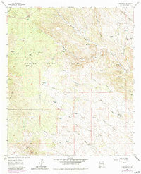C Bar Ranch New Mexico Historical topographic map, 1:24000 scale, 7.5 X 7.5 Minute, Year 1963