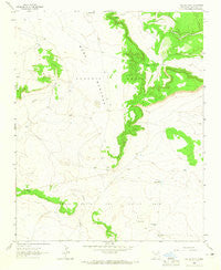 Cactus Tank New Mexico Historical topographic map, 1:24000 scale, 7.5 X 7.5 Minute, Year 1963