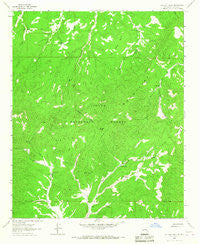 Cal Ship Mesa New Mexico Historical topographic map, 1:24000 scale, 7.5 X 7.5 Minute, Year 1963