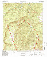 Canjilon SE New Mexico Historical topographic map, 1:24000 scale, 7.5 X 7.5 Minute, Year 1995