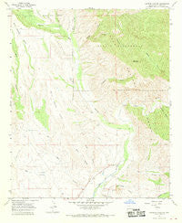 Canteen Canyon New Mexico Historical topographic map, 1:24000 scale, 7.5 X 7.5 Minute, Year 1965