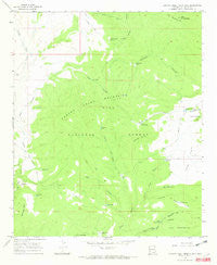 Canyon Creek Mountains New Mexico Historical topographic map, 1:24000 scale, 7.5 X 7.5 Minute, Year 1965