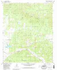 Capitan Pass New Mexico Historical topographic map, 1:24000 scale, 7.5 X 7.5 Minute, Year 1981