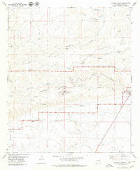 Carlsbad Caverns New Mexico Historical topographic map, 1:24000 scale, 7.5 X 7.5 Minute, Year 1979