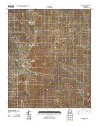 Cedar Point New Mexico Historical topographic map, 1:24000 scale, 7.5 X 7.5 Minute, Year 2010