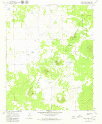 Cerro Hueco New Mexico Historical topographic map, 1:24000 scale, 7.5 X 7.5 Minute, Year 1967