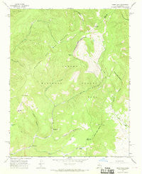 Cerro Vista New Mexico Historical topographic map, 1:24000 scale, 7.5 X 7.5 Minute, Year 1965