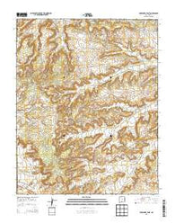 Crow Mesa East New Mexico Current topographic map, 1:24000 scale, 7.5 X 7.5 Minute, Year 2013