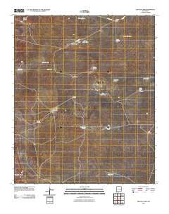 Denton Camp New Mexico Historical topographic map, 1:24000 scale, 7.5 X 7.5 Minute, Year 2010