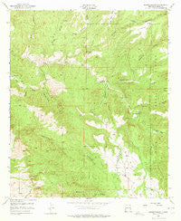 Dorsey Ranch New Mexico Historical topographic map, 1:24000 scale, 7.5 X 7.5 Minute, Year 1950