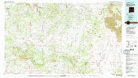 Fence Lake New Mexico Historical topographic map, 1:100000 scale, 30 X 60 Minute, Year 1981