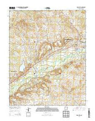 Flora Vista New Mexico Historical topographic map, 1:24000 scale, 7.5 X 7.5 Minute, Year 2013
