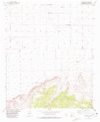 Fullerton New Mexico Historical topographic map, 1:24000 scale, 7.5 X 7.5 Minute, Year 1981