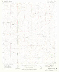 Gammil Well SE New Mexico Historical topographic map, 1:24000 scale, 7.5 X 7.5 Minute, Year 1973