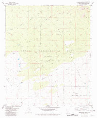 Goldenburg Draw New Mexico Historical topographic map, 1:24000 scale, 7.5 X 7.5 Minute, Year 1981