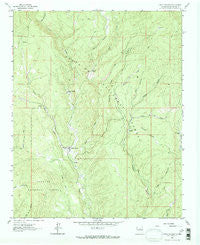 Lower Colonias New Mexico Historical topographic map, 1:24000 scale, 7.5 X 7.5 Minute, Year 1961