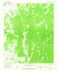 Madre Mountain New Mexico Historical topographic map, 1:24000 scale, 7.5 X 7.5 Minute, Year 1964