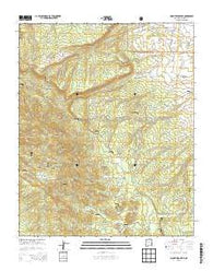 Mount Sedgwick New Mexico Current topographic map, 1:24000 scale, 7.5 X 7.5 Minute, Year 2013