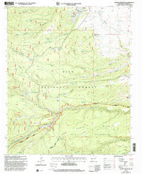 Negrito Mountain New Mexico Historical topographic map, 1:24000 scale, 7.5 X 7.5 Minute, Year 1999