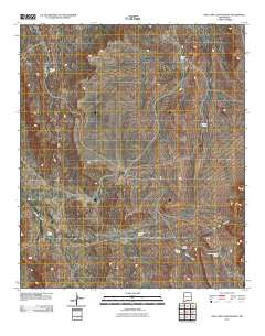 Owl Tank Canyon West New Mexico Historical topographic map, 1:24000 scale, 7.5 X 7.5 Minute, Year 2010