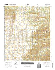 Paddys Hole New Mexico Historical topographic map, 1:24000 scale, 7.5 X 7.5 Minute, Year 2013