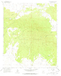 Pitchfork Canyon New Mexico Historical topographic map, 1:24000 scale, 7.5 X 7.5 Minute, Year 1963