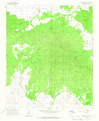 Pitchfork Canyon New Mexico Historical topographic map, 1:24000 scale, 7.5 X 7.5 Minute, Year 1963