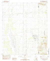 Playas Lake North New Mexico Historical topographic map, 1:24000 scale, 7.5 X 7.5 Minute, Year 1982