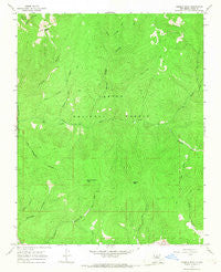 Pueblo Peak New Mexico Historical topographic map, 1:24000 scale, 7.5 X 7.5 Minute, Year 1965