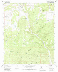Queens Head New Mexico Historical topographic map, 1:24000 scale, 7.5 X 7.5 Minute, Year 1965
