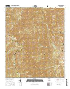 Reeds Peak New Mexico Current topographic map, 1:24000 scale, 7.5 X 7.5 Minute, Year 2017