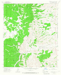 Robertson Canyon New Mexico Historical topographic map, 1:24000 scale, 7.5 X 7.5 Minute, Year 1963