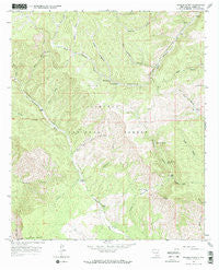 Rogers Ruins New Mexico Historical topographic map, 1:24000 scale, 7.5 X 7.5 Minute, Year 1965