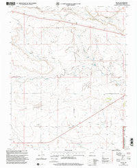 Royce New Mexico Historical topographic map, 1:24000 scale, 7.5 X 7.5 Minute, Year 1998