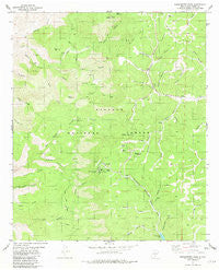 Sacramento Peak New Mexico Historical topographic map, 1:24000 scale, 7.5 X 7.5 Minute, Year 1981